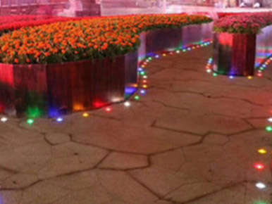 Garden Underground